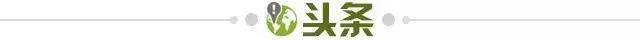 半岛·综合体育官网入口-【早报】香球王：谁才是法兰西之王？